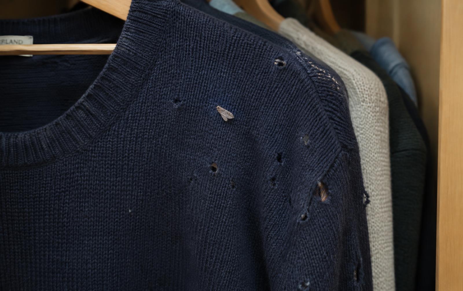 Wool jumper with clothes moth holes hanging in a wardrobe